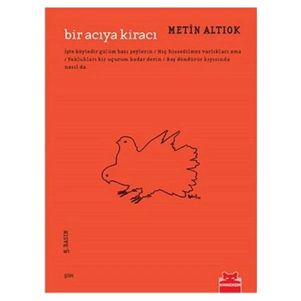 Bir Acıya Kiracı - Metin Altıok - Görsel 3