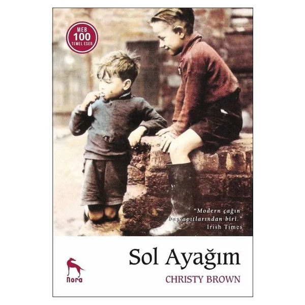 Sol Ayağım - Christy Brown - Görsel 6