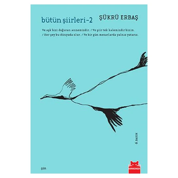 Bütün Şiirleri 2 - Şükrü Erbaş - Görsel 3