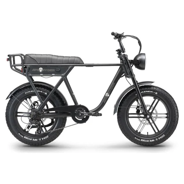 Ape Ryder A10 250 W 2 Kişilik Elektrikli Bisiklet - Görsel 2