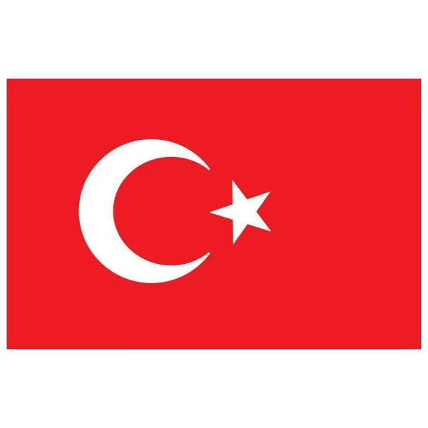 Saray Türk Bayrağı 20x30 - Görsel 2