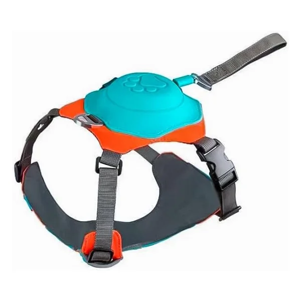 Nunbell Köpek Eğitim Boyun Zinciri 2,5 mm - 40 cm - Görsel 7