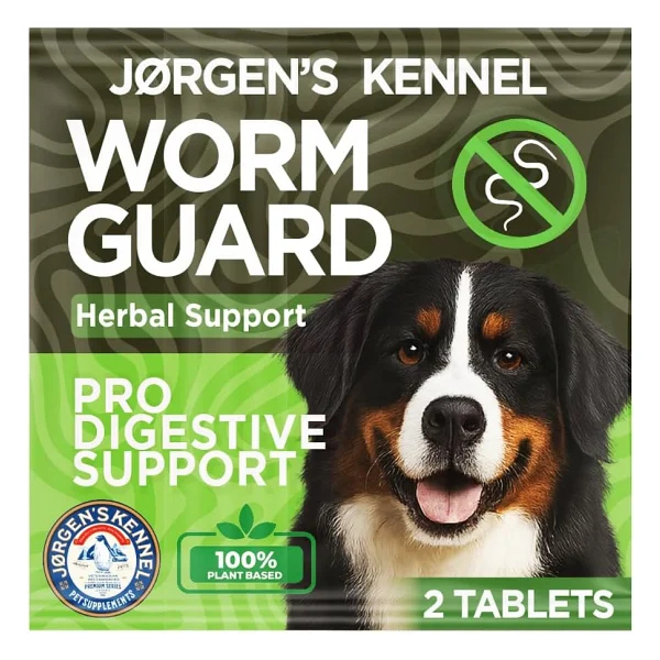 Nunbell Köpek Eğitim Boyun Zinciri 2,5 mm - 40 cm - Görsel 6