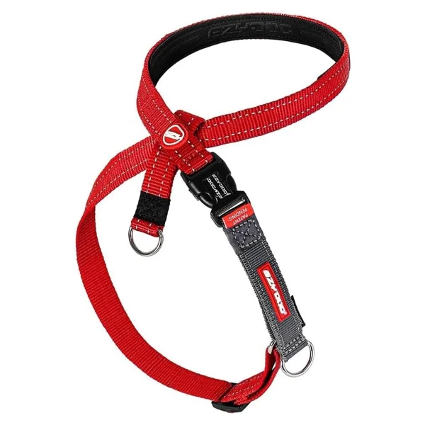 Ezydog 06465 Marine Leash Red Köpek Gezdirme Tasması - Görsel 10