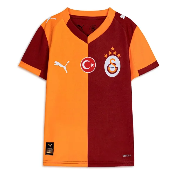 Puma 779825-01 2025/2026 İç Saha Parçalı Galatasaray Taraftar Forması - Görsel 9