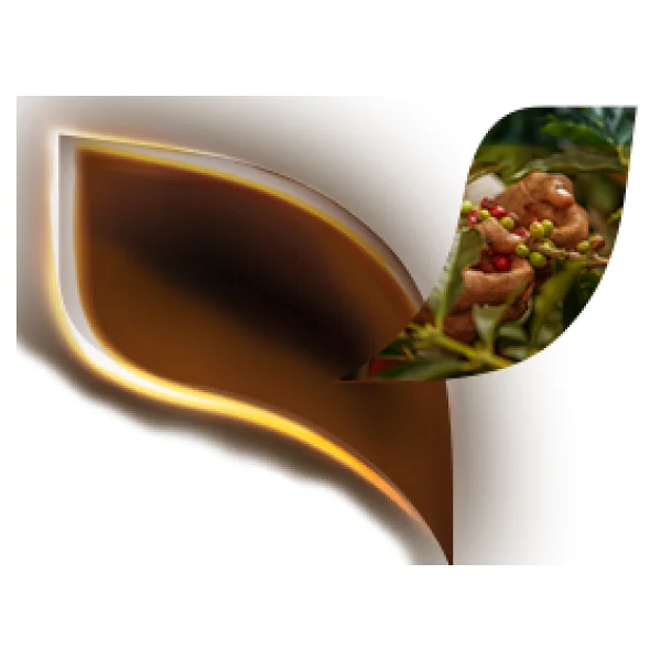 Nescafe Gold 14x2 Gr - Görsel 7