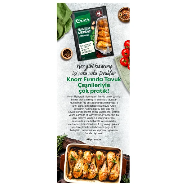 Knorr Tavuk Çeşni Ailesi Baharatlı Sarımsaklı 34 G - 37 Gr - Görsel 8
