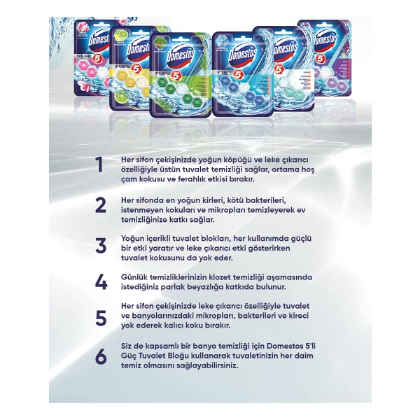 Domestos Tuvalet Bloğu 100 Gr - Görsel 7