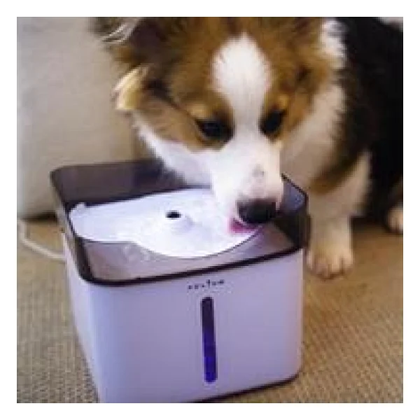 Aclium Köpek Su Sebili 2.4 L - Görsel 7