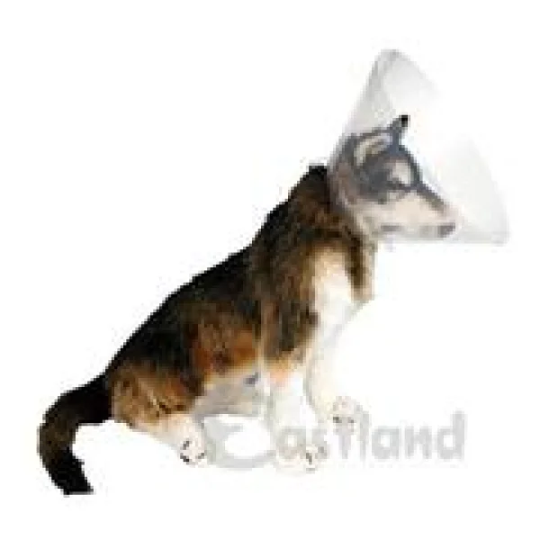 Eastland Yakalık (Elizabet) 20 CM - Görsel 6