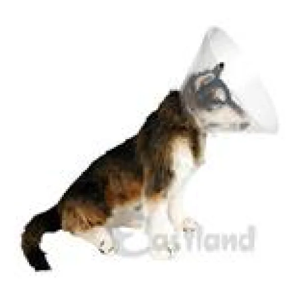 Eastland Yakalık (Elizabet) 25 Cm - Görsel 3