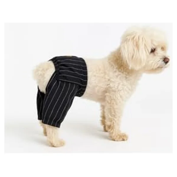 Mpz Pets Kedi Ve Köpek Kıyafeti & Elbisesi Siyah Beyaz Çizgili Pantolon XL - Görsel 5