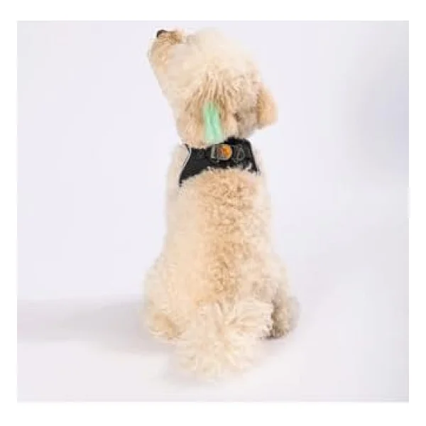 Pawstar Siyah Air-Mesh Göğüs Tasması Kedi Köpek Göğüs Tasması Siyah 3xs - Görsel 7