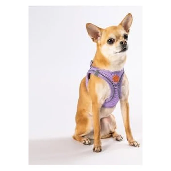 Pawstar Air-Mesh Lilac Köpek Göğüs Tasması - Lila - S - Görsel 2