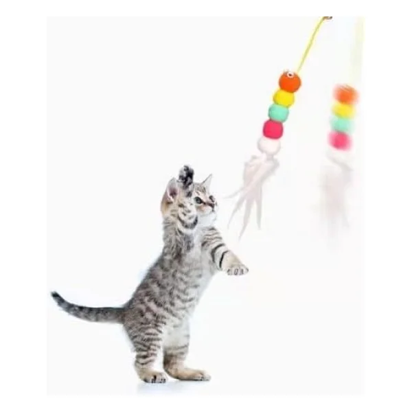 Elastik Yapışkanlı Kedi Oyun Oltası - Görsel 4