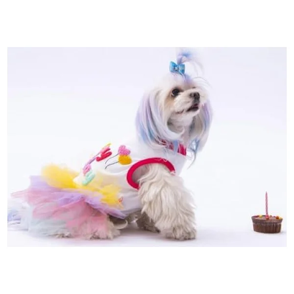 Pawstar Happy Birthday Kedi Köpek Elbisesi - Kedi Köpek Kıyafeti - Görsel 6