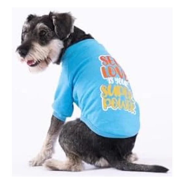 Pawstar Turkuaz Power Polarlı Küçük Irk Köpek Sweatshirtü - Görsel 6