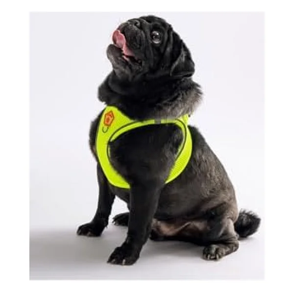 Pawstar Neon Sarı Air-Mesh Göğüs Tasması Kedi Köpek Göğüs Tasması 2xs - Görsel 2
