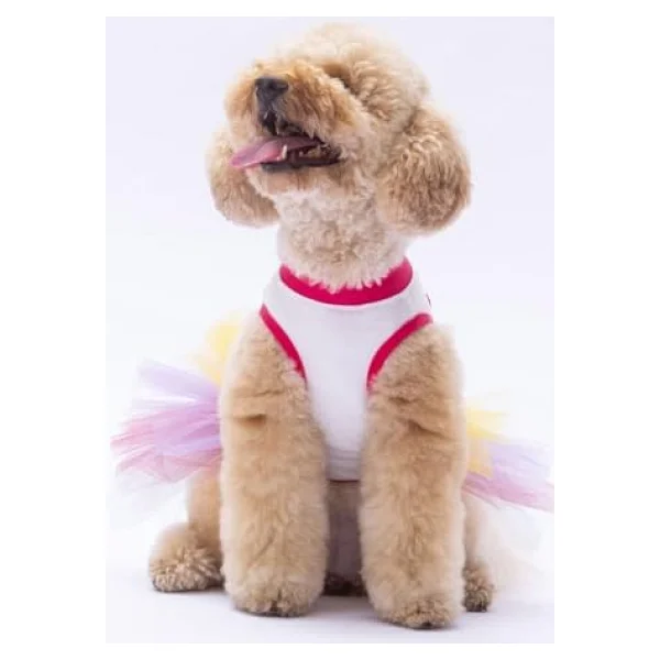 Pawstar Happy Birthday Kedi Köpek Elbisesi - Kedi Köpek Kıyafeti - Görsel 8