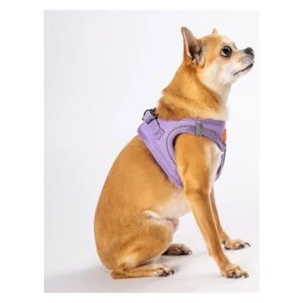 Pawstar Air-Mesh Lilac Köpek Göğüs Tasması - Lila - S - Görsel 3