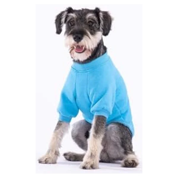 Pawstar Turkuaz Power Polarlı Küçük Irk Köpek Sweatshirtü - Görsel 7