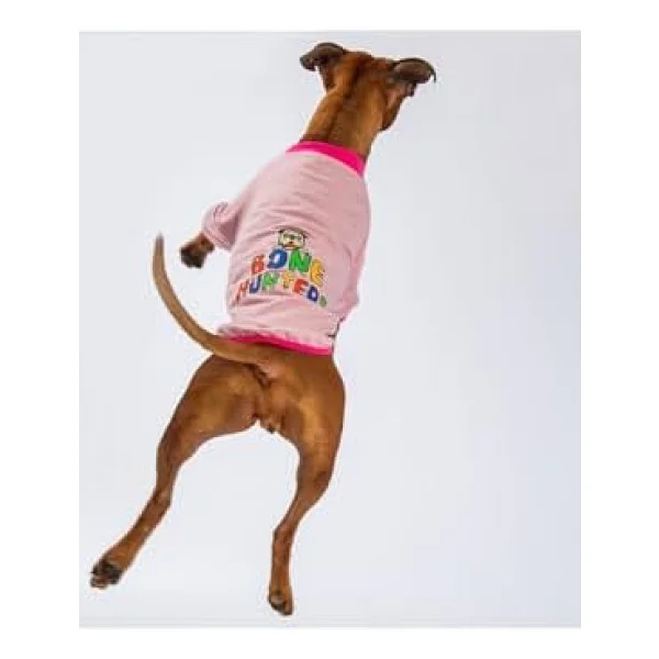Pawstar Pembe Bone Hunter Orta Büyük Irk Köpek Fermuarlı Sweatshirt - Görsel 7