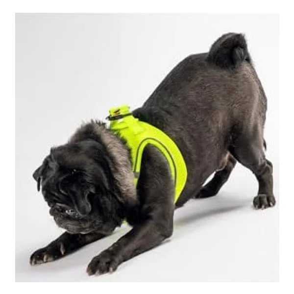 Pawstar Neon Sarı Air-Mesh Göğüs Tasması Kedi Köpek Göğüs Tasması 2xs - Görsel 3