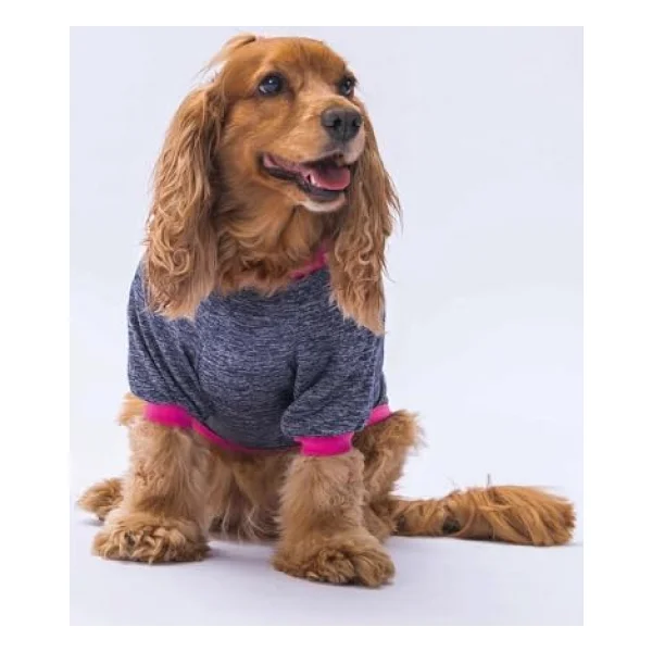 Pawstar Antrasit Shine Kedi Köpek Sweati - Kedi Köpek Kıyafeti - XL - Görsel 3