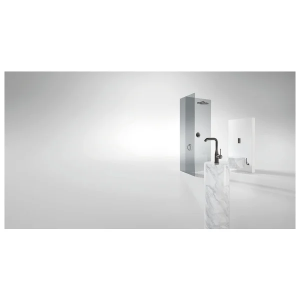 Grohe Essentials 40385al1 Brushed Hard Graphite Tuvalet Kağıtlığı - Görsel 5