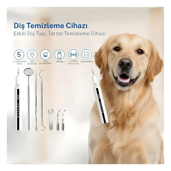 NPO T7 5 Modlu Ultrasonic Tartar Plak PET Diş Temizleme Cihazı - Görsel 5