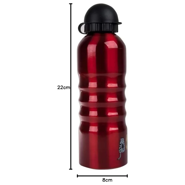 Biggdesign Cats 700 Ml Çelik Matara - Görsel 9