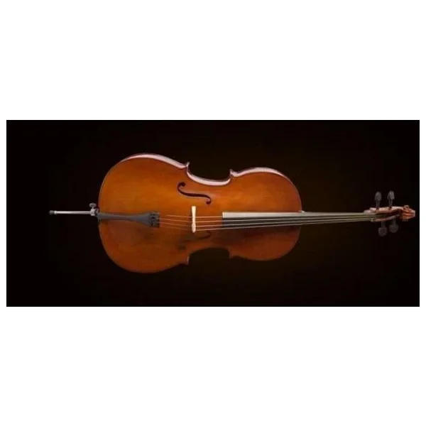 Valencia Ce160g44 4/4 Çello - Görsel 5