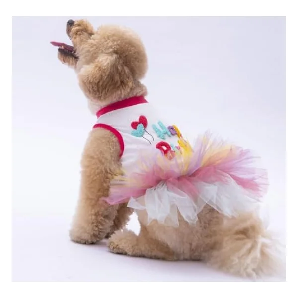 Pawstar Happy Birthday Kedi Köpek Elbisesi - Kedi Köpek Kıyafeti - Görsel 9