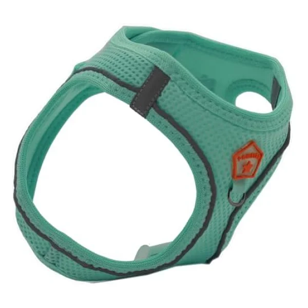 Pawstar Mint Air-Mesh Göğüs Tasması Kedi Köpek Göğüs Tasması Mint S - Görsel 5