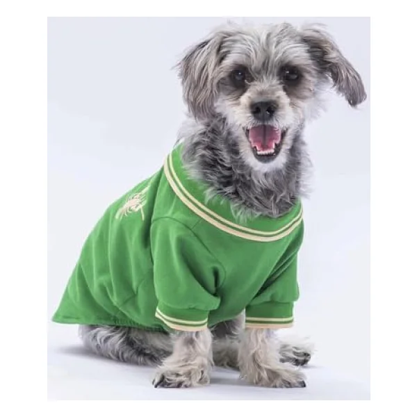 Pawstar Yeşil Marine Polo Yaka Kedi Köpek Tişörtü- Kedi Köpek Kıyafeti - Görsel 3