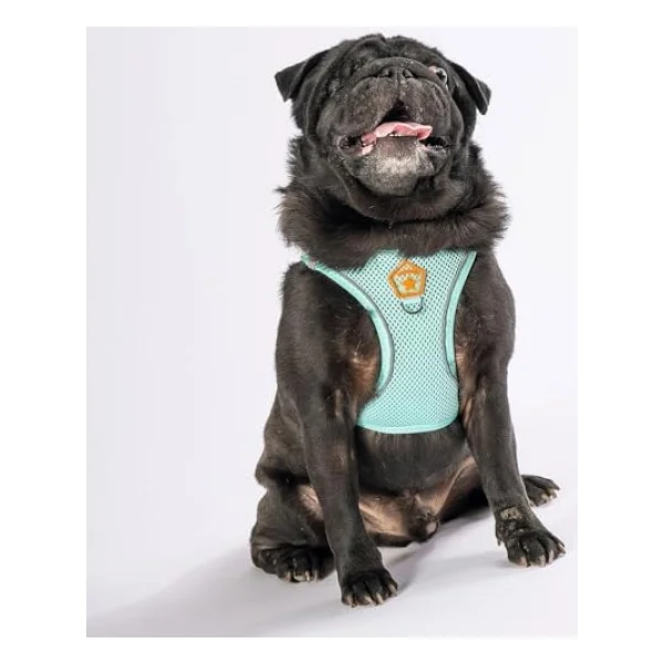 Pawstar Mint Air-Mesh Göğüs Tasması Kedi Köpek Göğüs Tasması Mint S - Görsel 2