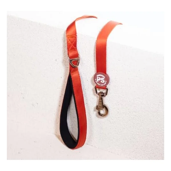 Pawstar Kiremit Köpek Gezdirme Kayışı 120 Cm X 2 Cm - Görsel 4
