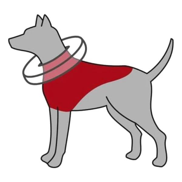 Trixie Köpek Koruyucu XS Mavi Şişme Yakalık - Görsel 8