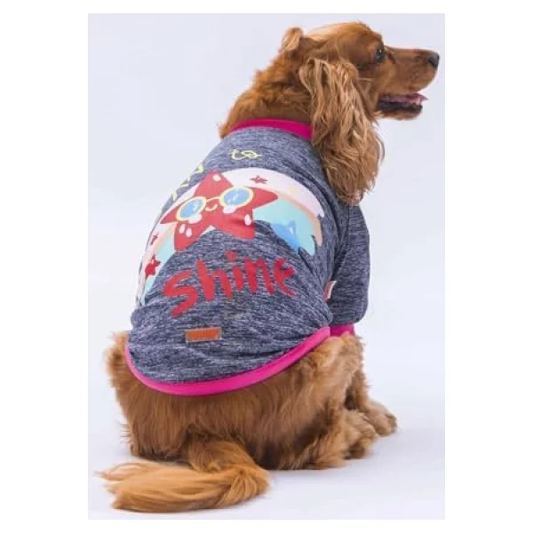 Pawstar Antrasit Shine Kedi Köpek Sweati - Kedi Köpek Kıyafeti - XL - Görsel 2