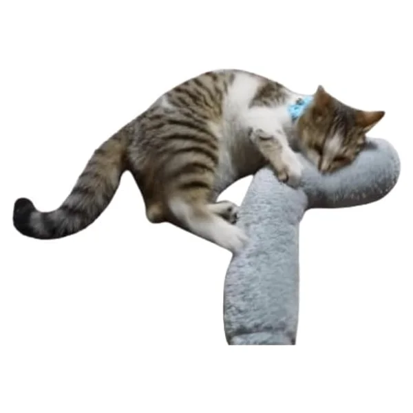 Tineke Kedi Otlu 30 Cm Uyku Sarılma Oyuncağı - Görsel 3