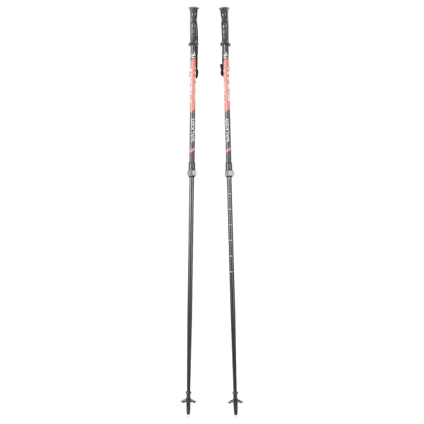 Fizan Walker 2 Section Çiftli Pole Baton