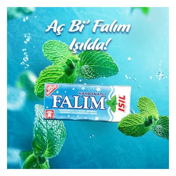 Falım Işıl 5'li Nane Aromalı Şekersiz Sakız - Görsel 4