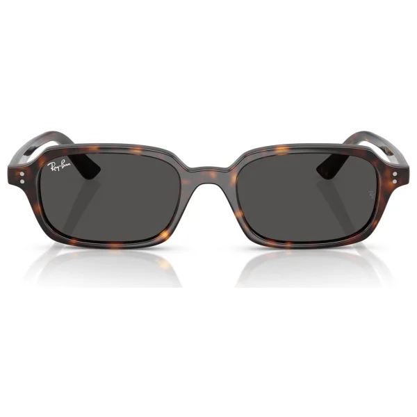 Ray-Ban Zuri 4455 Güneş Gözlüğü - Görsel 2
