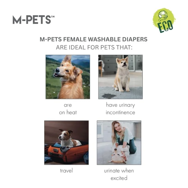 M-Pets Dişi Köpekler İçin Yıkanabilir Külot (L) - Görsel 4