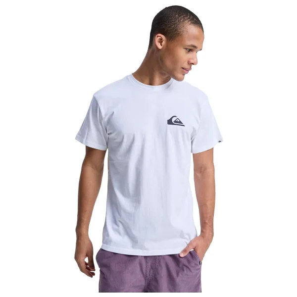 Quiksilver Ev Mini Logo Eqyzt08042 Kısa Kollu Bisiklet Yaka Erkek Tişört - Görsel 10