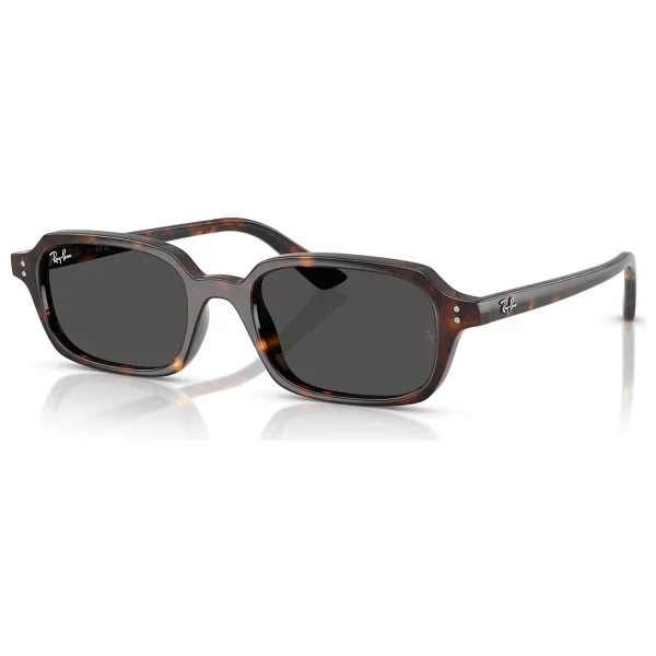 Ray-Ban Zuri 4455 Güneş Gözlüğü - Görsel 3
