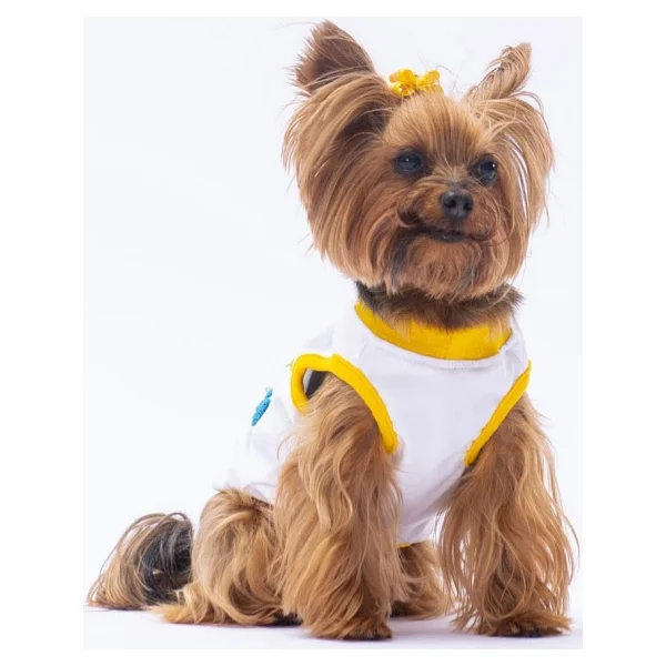 Happy Birthday Kedi Köpek Tişörtü - Kedi Köpek Kıyafeti - Görsel 3