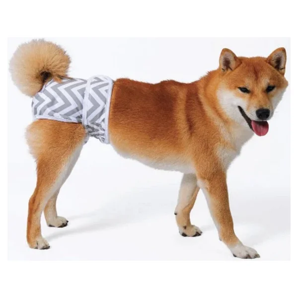 M-Pets Dişi Köpekler İçin Yıkanabilir Külot (L) - Görsel 6
