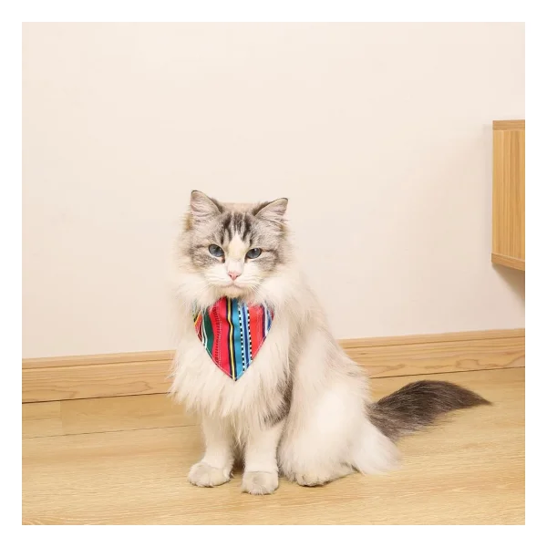 M-Pets Small Urban Style Jazz Stripes Bandana - Görsel 2