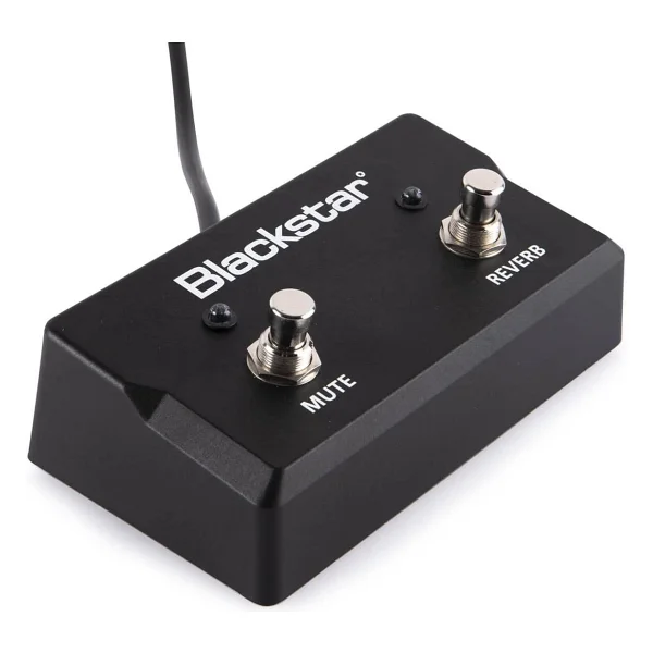 Blackstar Fs17-2 Sonnet Footcontroller - Görsel 2